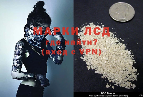 индика Аркадак