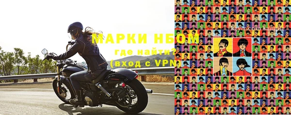 индика Аркадак