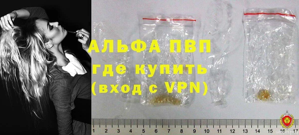 индика Аркадак