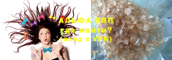 индика Аркадак