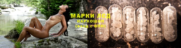 индика Аркадак