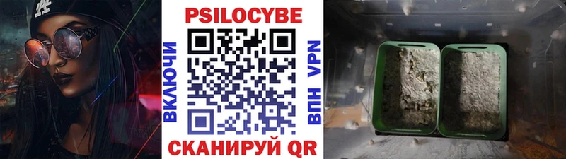 Купить закладки  Орск  Галлюциногенные грибы прущие грибы 